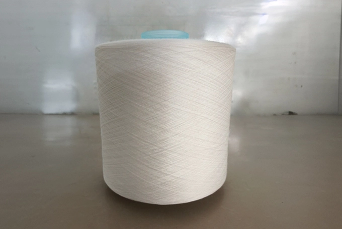 Spun Polyester Thread Wholesale China